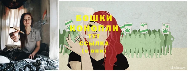 метадон Белокуриха