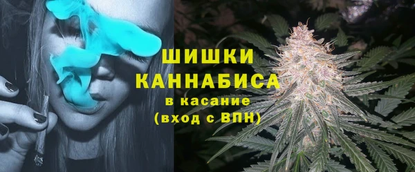 метадон Белокуриха