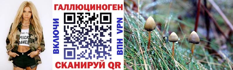 Галлюциногенные грибы Magic Shrooms  Бугульма 